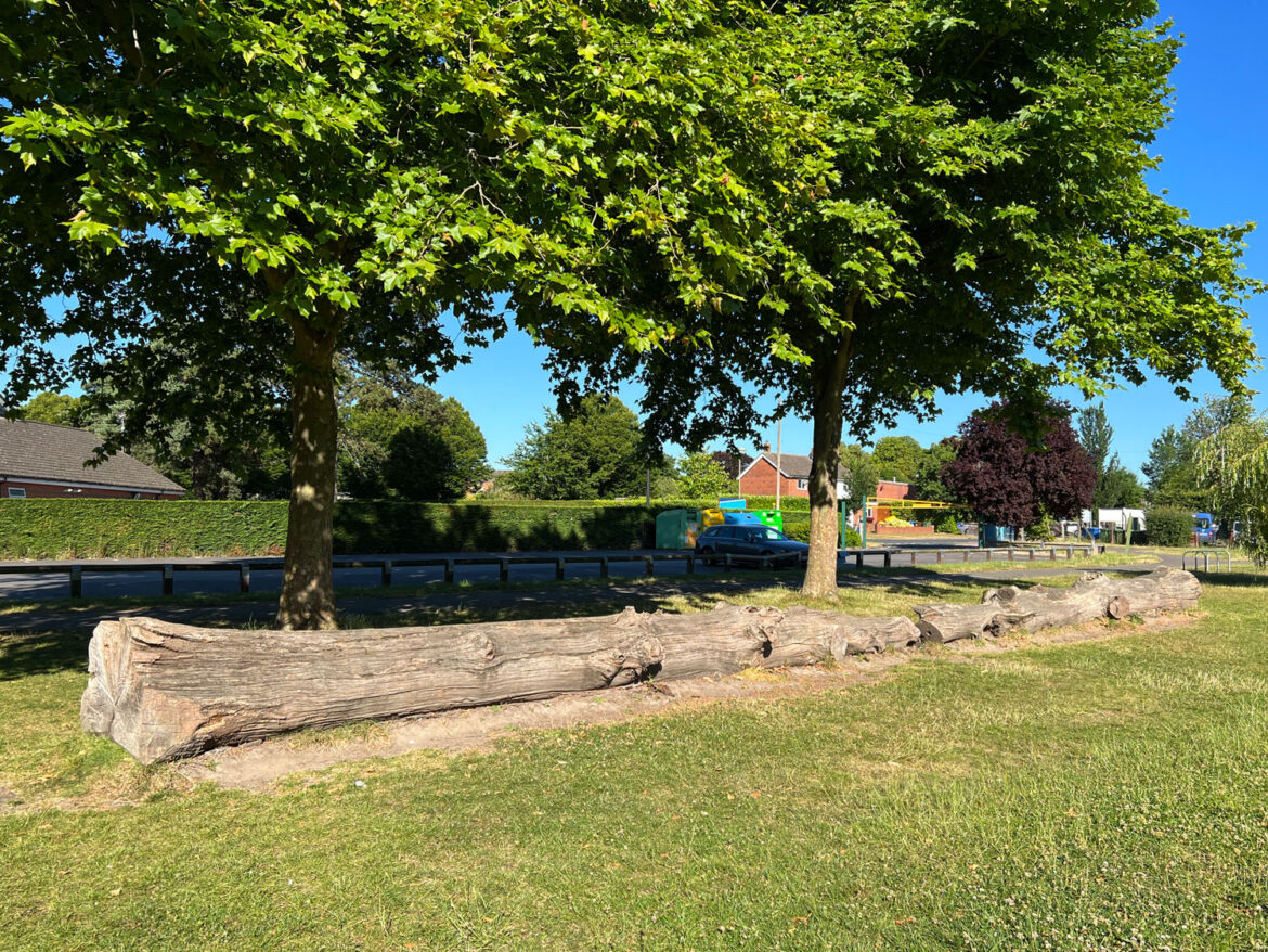 Aldershot-Park-and-Play-Area-in-Aldershot-Hampshire-102.jpg