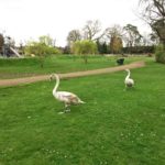Aldershot Park and Play Areas in Aldershot, Hampshire