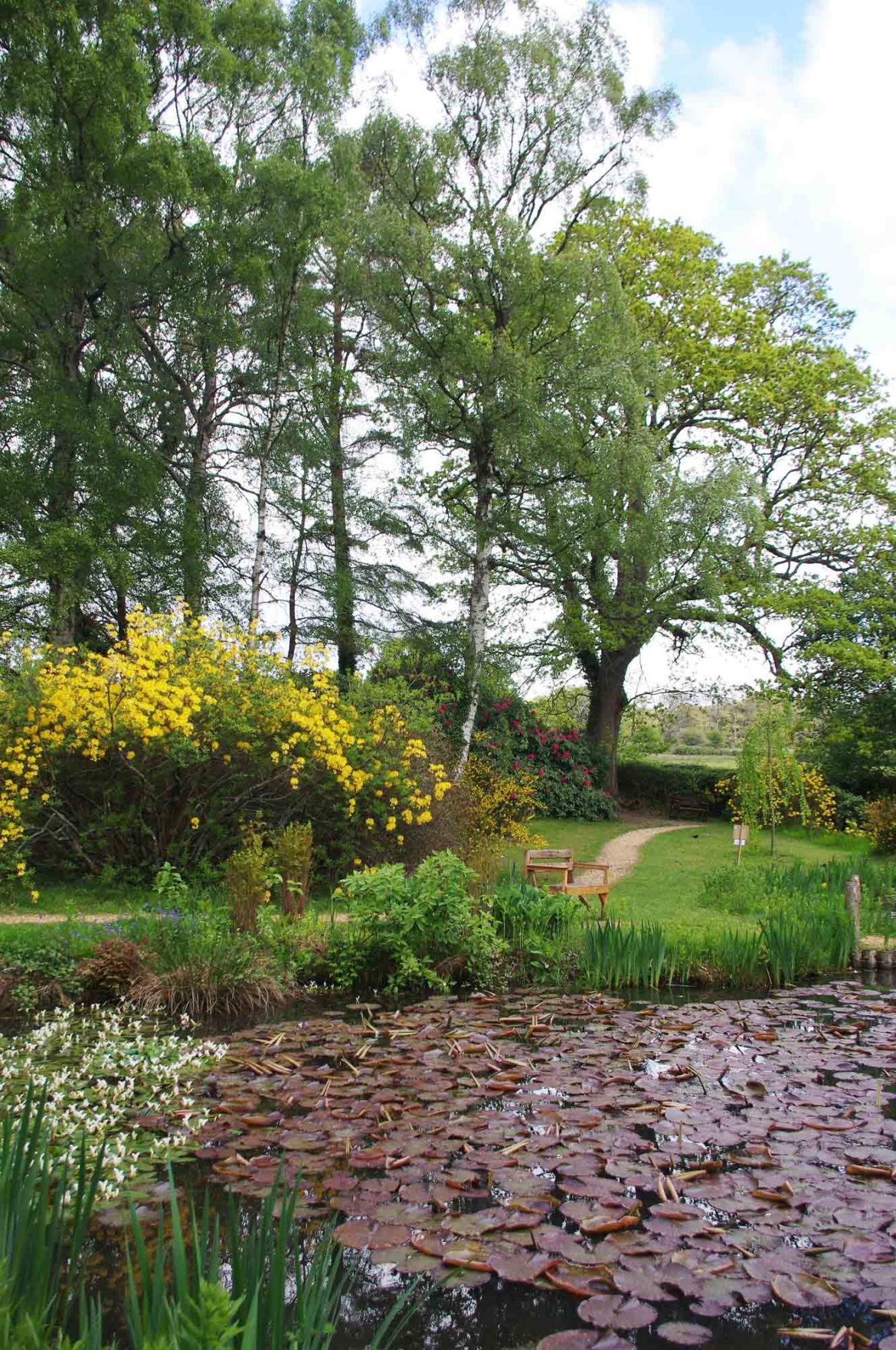Furzey-Gardens-Lyndhurst-17.jpg
