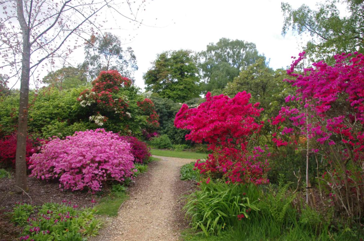 Furzey-Gardens-Lyndhurst-18.jpg