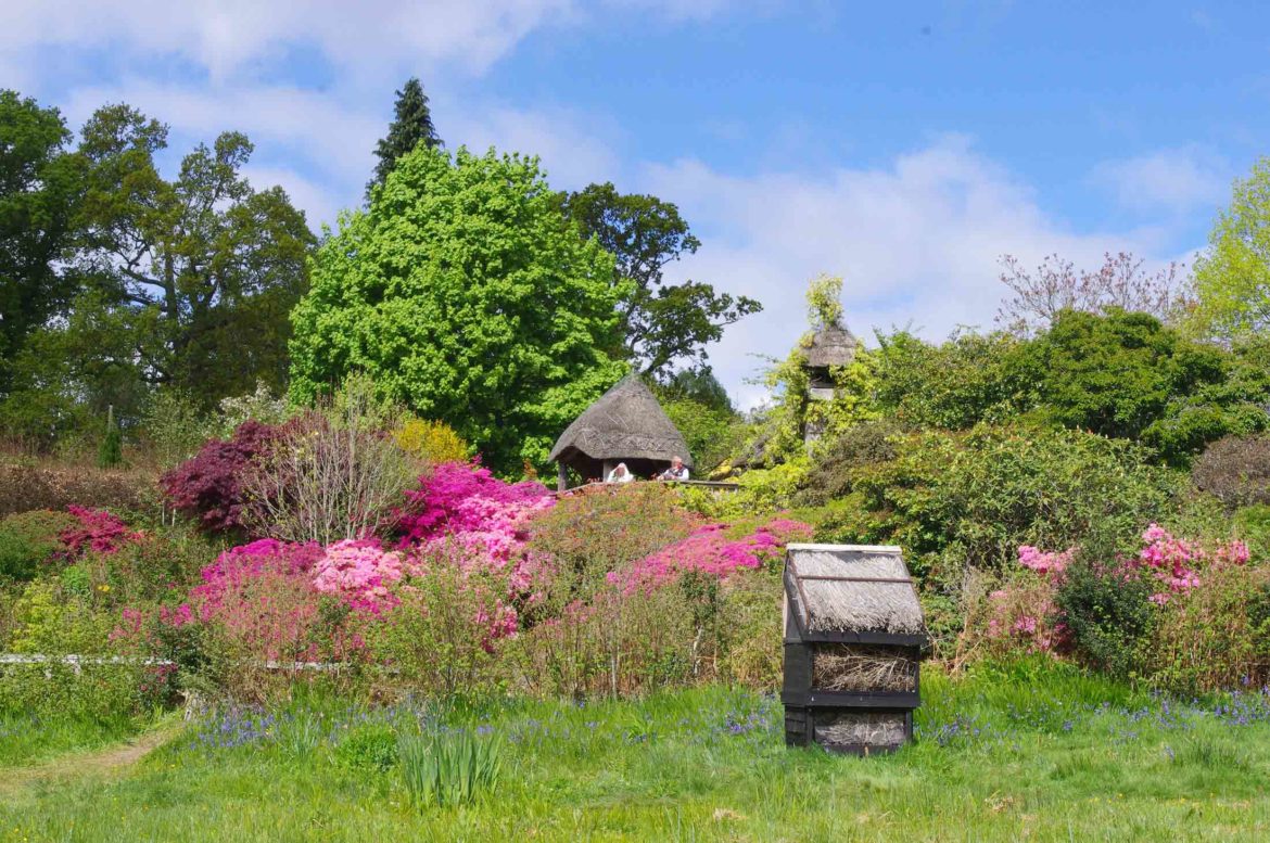 Furzey-Gardens-Lyndhurst-20.jpg