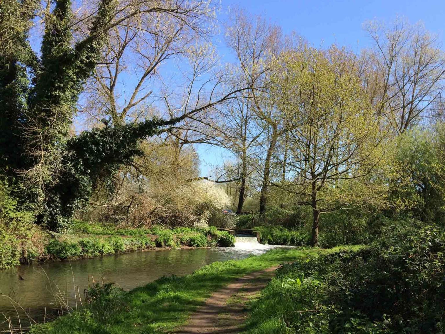 Hawley Meadows, River Blackwater, Near Camberley – Toddle Doddle