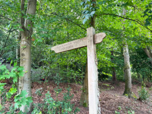 Source of the River Blackwater at Rowhill Nature Reserve in Aldershot, Hampshire