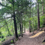 Source of the River Blackwater at Rowhill Nature Reserve in Aldershot, Blackwater Valley Path Section 1 in Hampshire