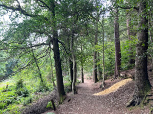 Source of the River Blackwater at Rowhill Nature Reserve in Aldershot, Hampshire