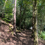 Source of the River Blackwater at Rowhill Nature Reserve in Aldershot, Hampshire