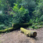 Source of the River Blackwater at Rowhill Nature Reserve in Aldershot, Hampshire