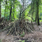 Source of the River Blackwater at Rowhill Nature Reserve in Aldershot, Hampshire