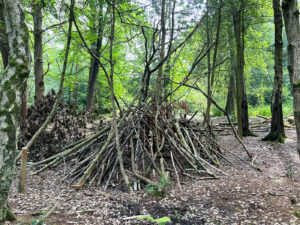 Source of the River Blackwater at Rowhill Nature Reserve in Aldershot, Hampshire