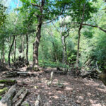 Source of the River Blackwater at Rowhill Nature Reserve in Aldershot, Hampshire