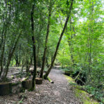 Source of the River Blackwater at Rowhill Nature Reserve in Aldershot, Hampshire