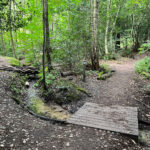Source of the River Blackwater at Rowhill Nature Reserve in Aldershot, Blackwater Valley Path in Hampshire