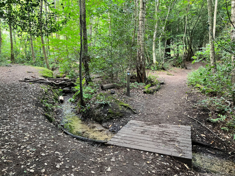 Source of the River Blackwater at Rowhill Nature Reserve in Aldershot, Blackwater Valley Path in Hampshire