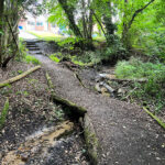 Source of the River Blackwater at Rowhill Nature Reserve in Aldershot, Hampshire