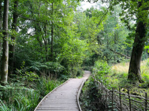 Source of the River Blackwater at Rowhill Nature Reserve in Aldershot, Hampshire