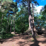Source of the River Blackwater at Rowhill Nature Reserve in Aldershot, Hampshire