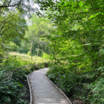 Source of the River Blackwater at Rowhill Nature Reserve in Aldershot, Hampshire
