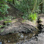 Source of the River Blackwater at Rowhill Nature Reserve in Aldershot, Blackwater Valley Path Section 1 in Hampshire
