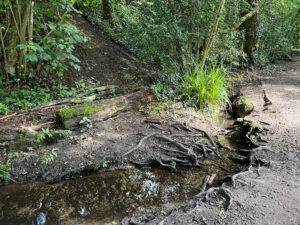 Source of the River Blackwater at Rowhill Nature Reserve in Aldershot, Hampshire