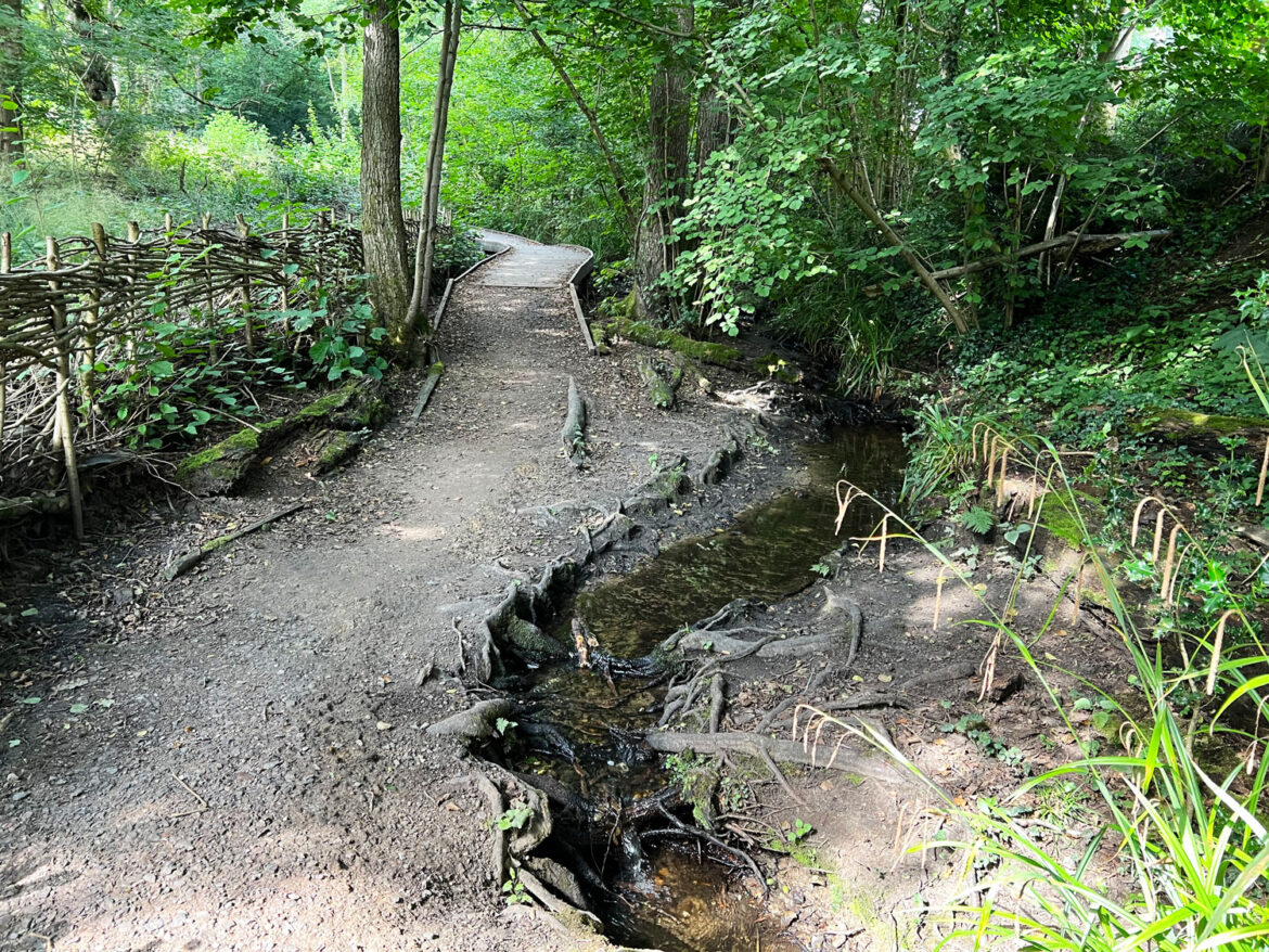 Rowhill-Nature-Reserve-in-Aldershot-Hampshire-215.jpg