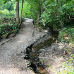 Source of the River Blackwater at Rowhill Nature Reserve in Aldershot, Blackwater Valley Path Section 1 in Hampshire