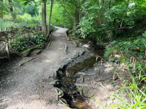 Source of the River Blackwater at Rowhill Nature Reserve in Aldershot, Hampshire