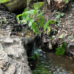 Source of the River Blackwater at Rowhill Nature Reserve in Aldershot, Blackwater Valley Path Section 1 in Hampshire