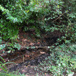Source of the River Blackwater at Rowhill Nature Reserve in Aldershot, Blackwater Valley Path in Hampshire