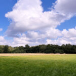 Source of the River Blackwater at Rowhill Nature Reserve in Aldershot, Hampshire