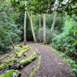 Source of the River Blackwater at Rowhill Nature Reserve in Aldershot, Hampshire