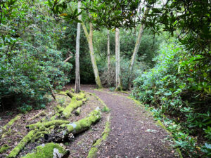 Source of the River Blackwater at Rowhill Nature Reserve in Aldershot, Hampshire