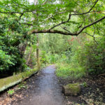 Source of the River Blackwater at Rowhill Nature Reserve in Aldershot, Hampshire