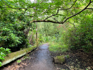 Source of the River Blackwater at Rowhill Nature Reserve in Aldershot, Hampshire