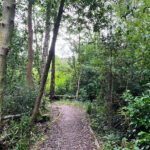 Source of the River Blackwater at Rowhill Nature Reserve in Aldershot, Hampshire