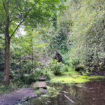 Source of the River Blackwater at Rowhill Nature Reserve in Aldershot, Blackwater Valley Path in Hampshire