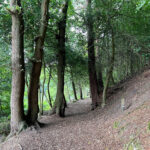Source of the River Blackwater at Rowhill Nature Reserve in Aldershot, Hampshire