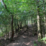 Source of the River Blackwater at Rowhill Nature Reserve in Aldershot, Hampshire