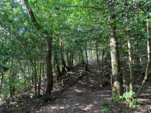 Source of the River Blackwater at Rowhill Nature Reserve in Aldershot, Hampshire