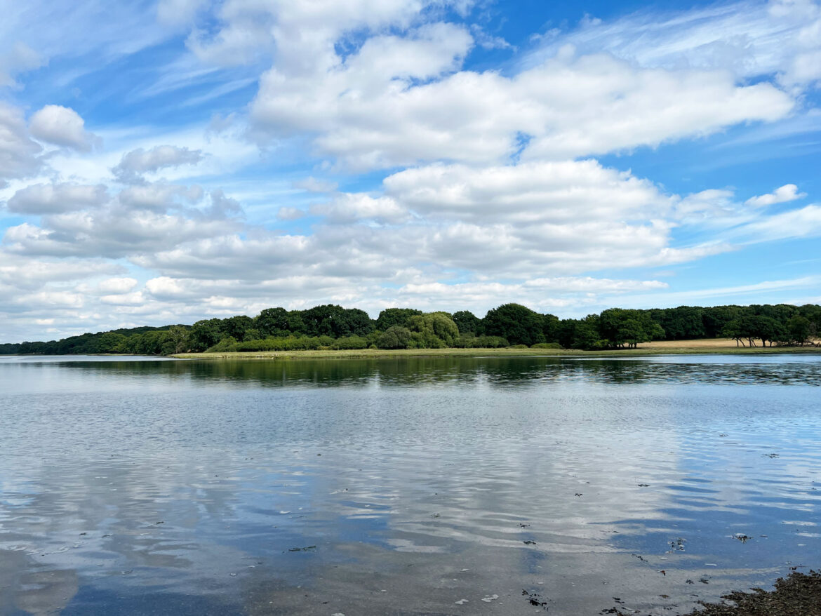 River-Hamble-Country-Park-104.jpg