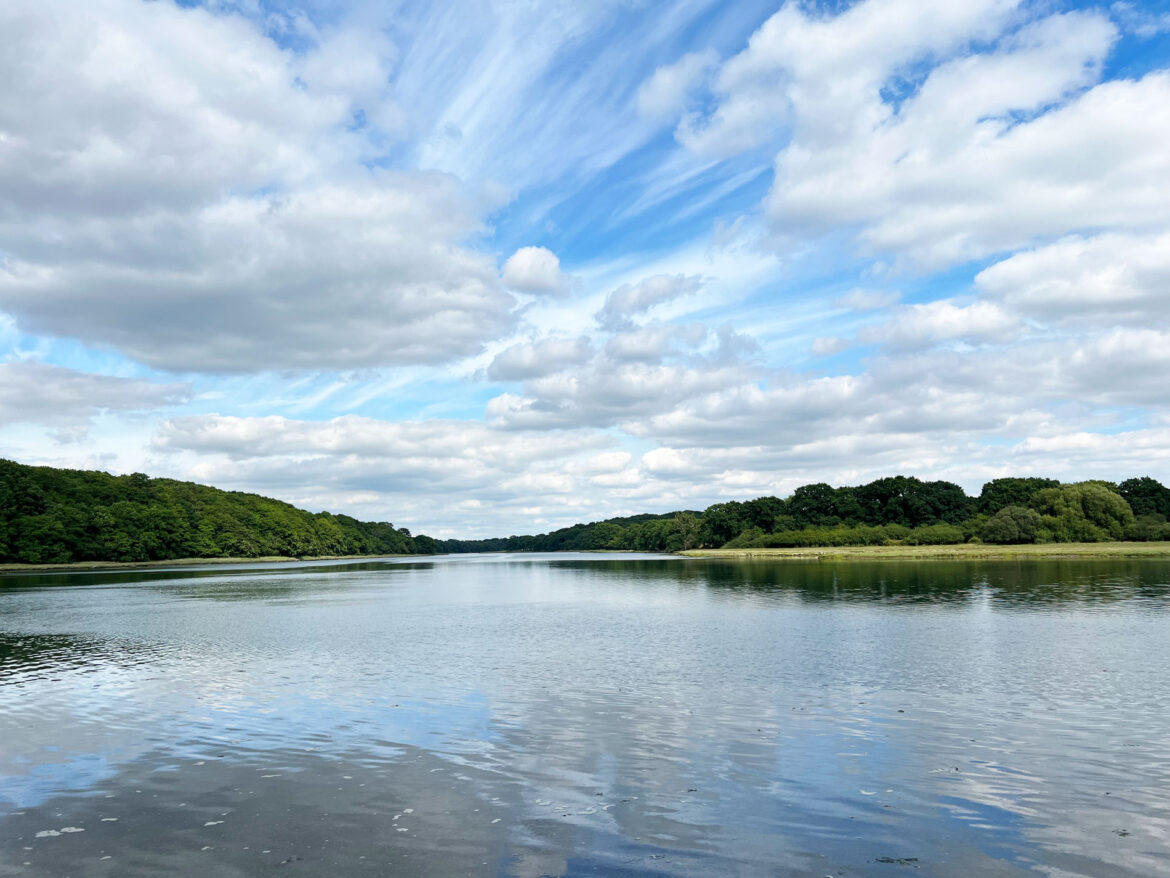 River-Hamble-Country-Park-105.jpg