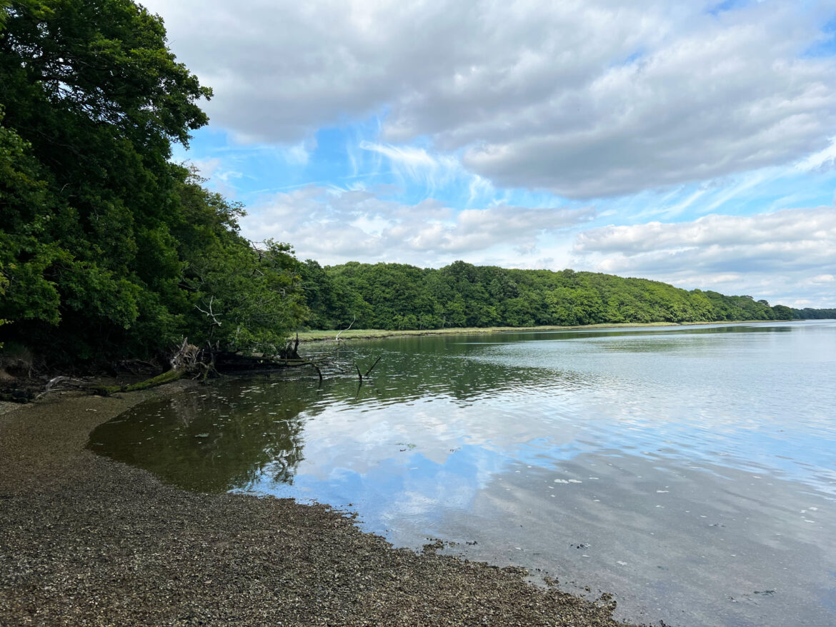 River-Hamble-Country-Park-106.jpg