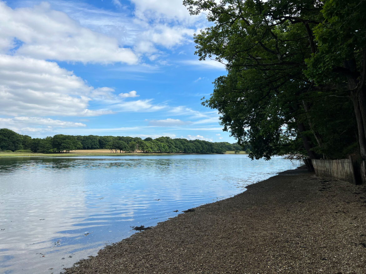River-Hamble-Country-Park-107.jpg