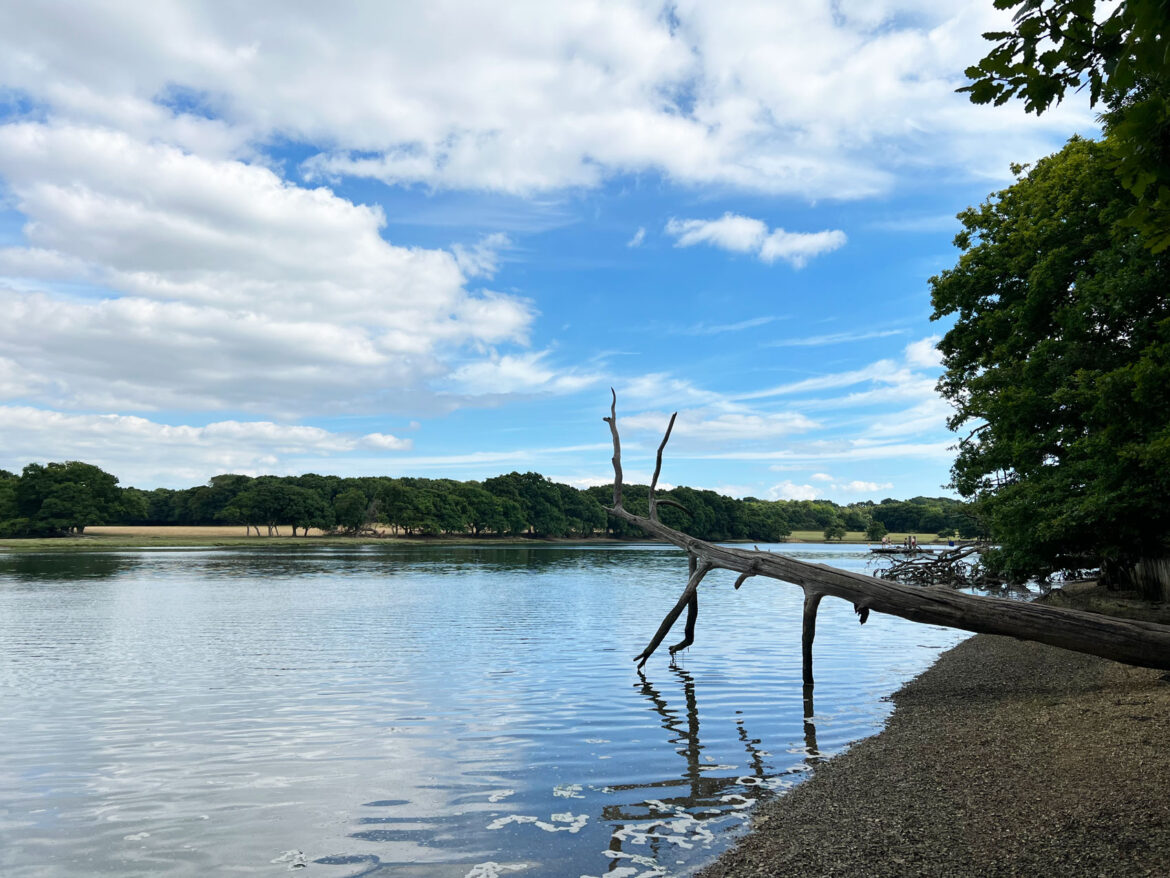 River-Hamble-Country-Park-110.jpg