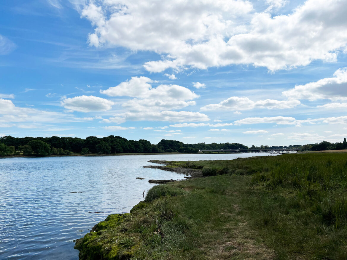 River-Hamble-Country-Park-111.jpg