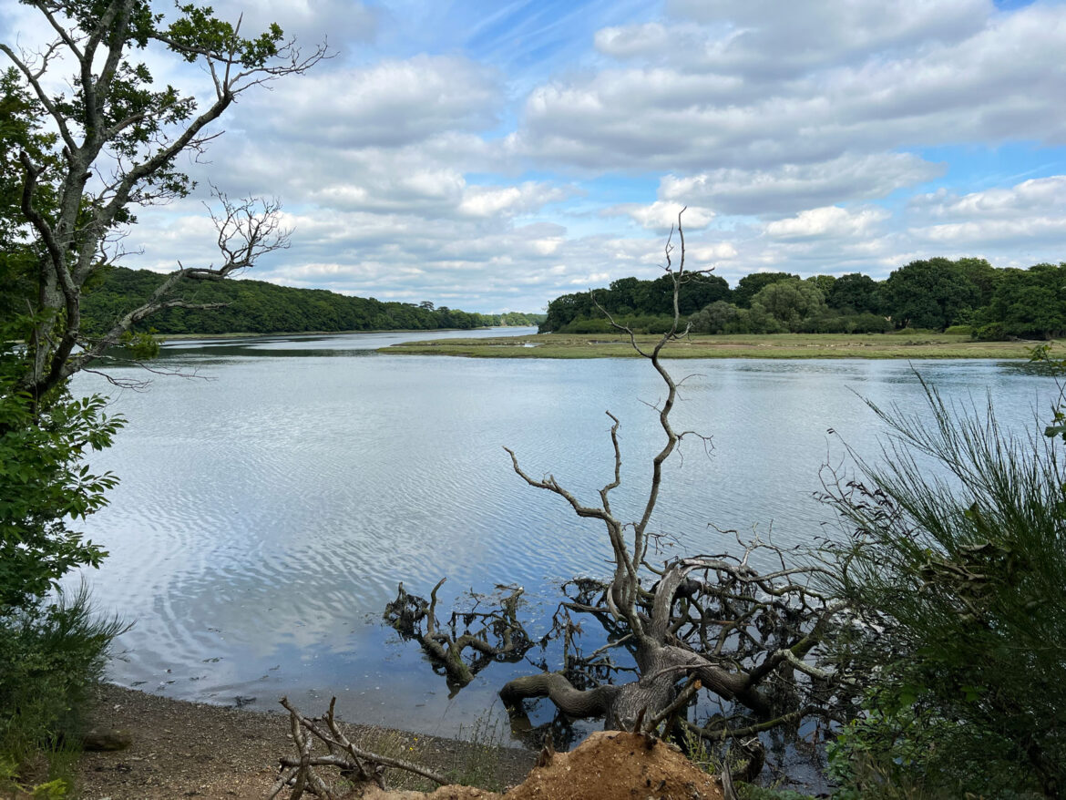 River-Hamble-Country-Park-112.jpg