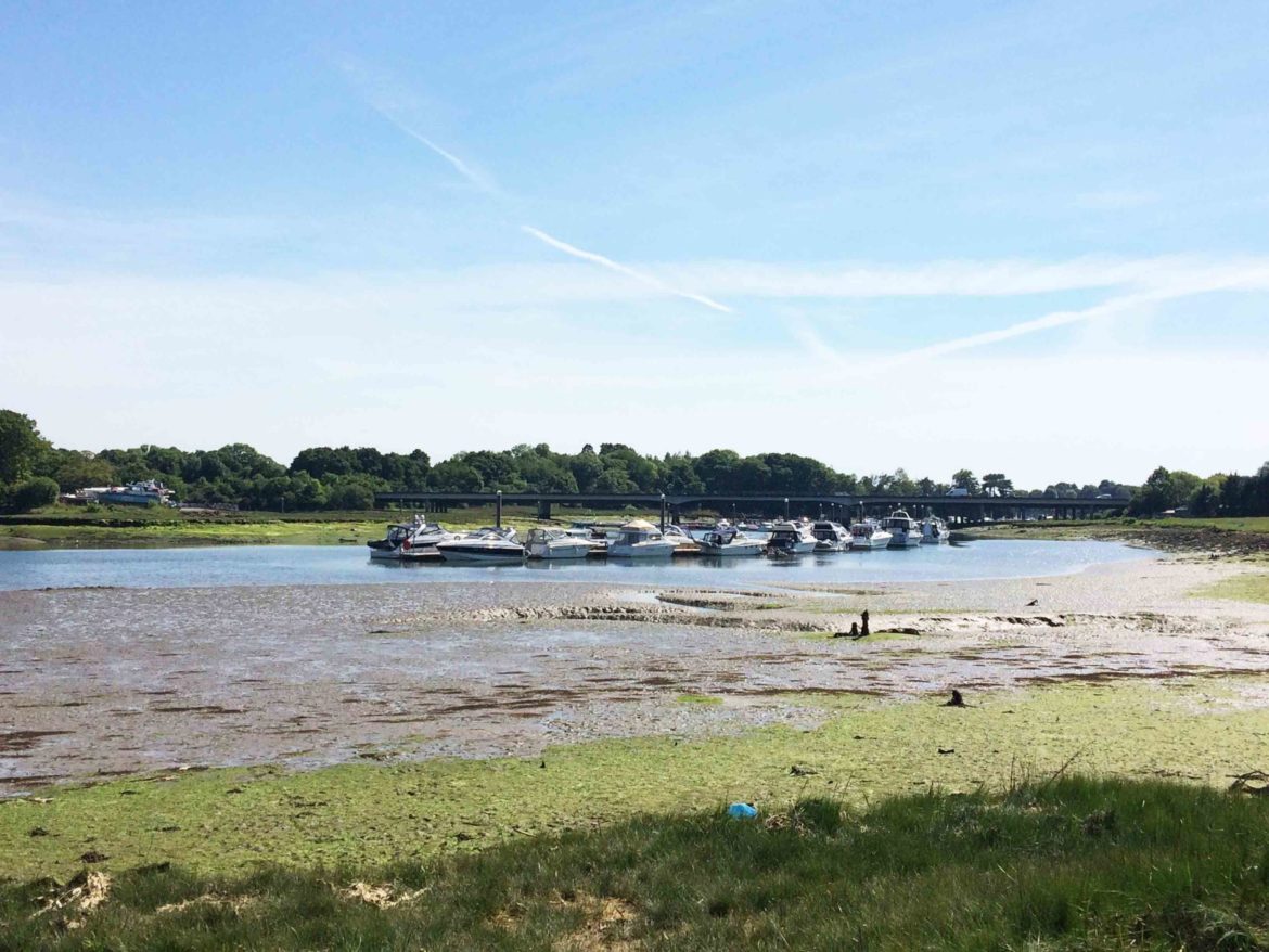River-Hamble-Country-Park-Bursledon-4-scaled.jpg