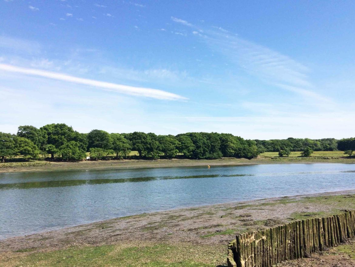 River-Hamble-Country-Park-Bursledon-6-scaled.jpg