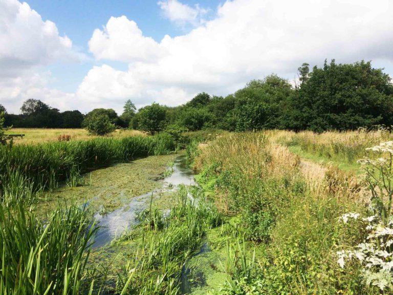 River Blackwater on Section 7 of the Blackwater Valley Path at Shepherd Meadows, Sandhurst