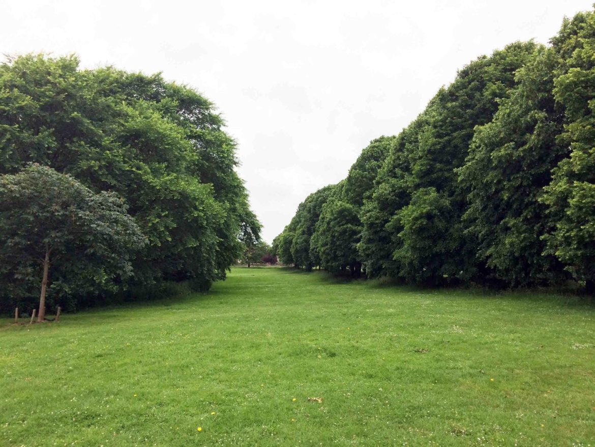 Farnham-Park-Farnham-Surrey-4-scaled.jpg