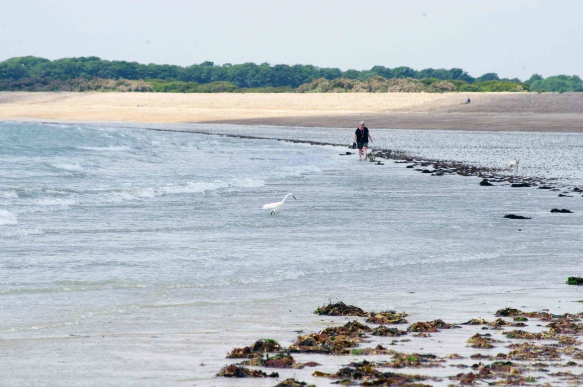 Littlehampton-West-Beach-West-Sussex-3-scaled.jpg